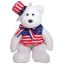 Sam - Patriotic Beanies