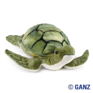 sea turtle beanie baby