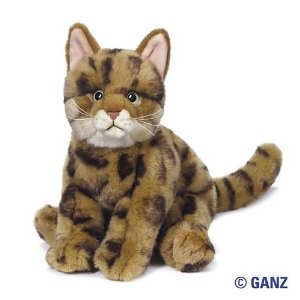 tabby cat beanie baby