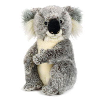 koala bear webkinz