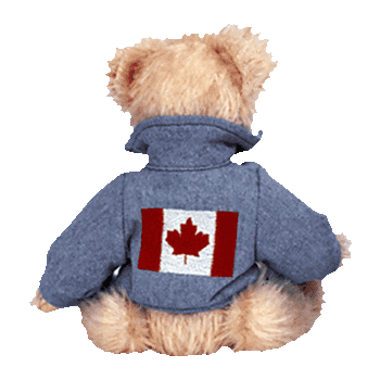 ty beanie baby clothes