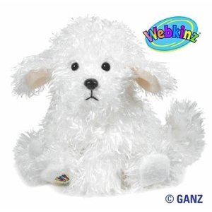Bichon Frise - Webkinz